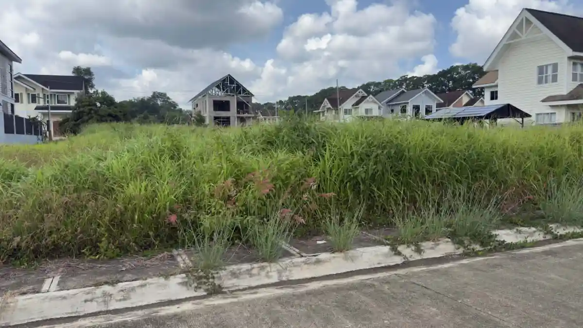 FOR SALE: Residential Lot in Damilag, Manolo Fortich — 298 sqm — Residential Lot in Damilag, Manolo Fortich, Bukidnon — Photo 4