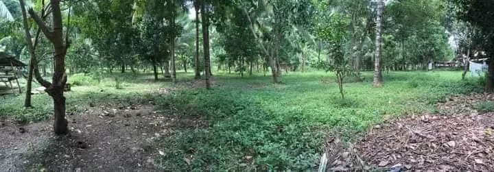 Prime Commercial Lot for Sale — Commercial Lot in Cagayan de Oro City, Misamis Oriental, 9000 — Photo 4
