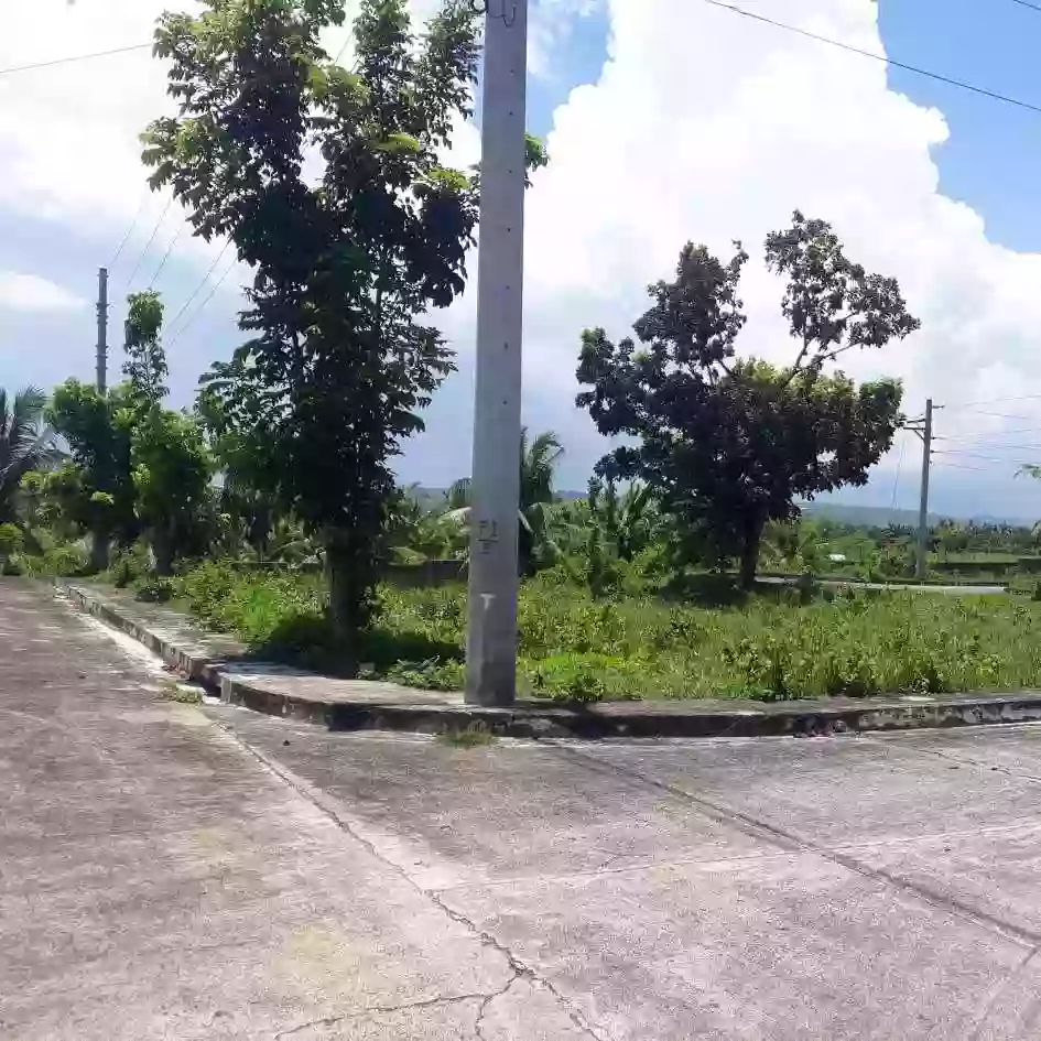 GLENROSE RESIDENTIAL LOT FOR SALE — Residential Lot in Perrelos, Carcar, Cebu — Photo 7