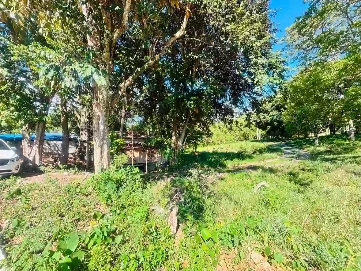 For Sale: Commercial Lot in Bulua, Cagayan de Oro City — 24245 sqm — Commercial Lot in Cagayan de Oro City, Misamis Oriental, 9000 — Photo 5