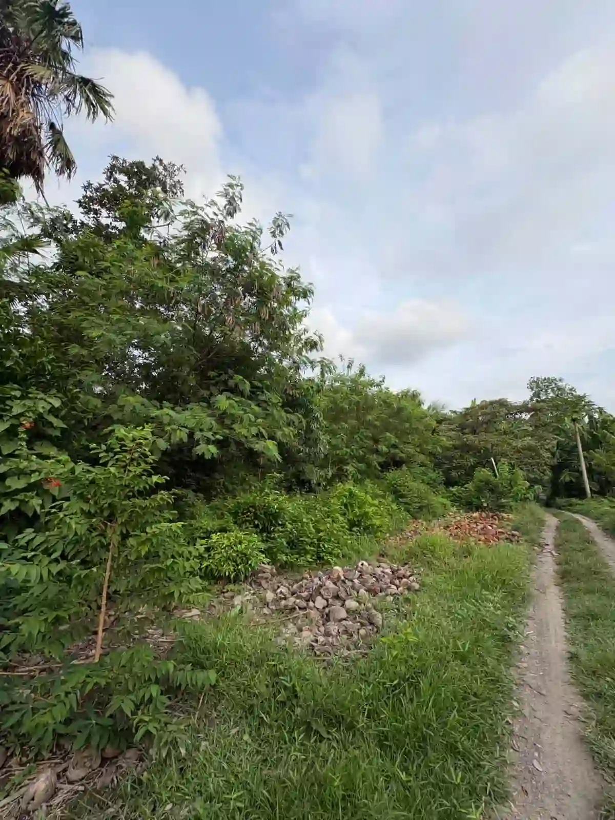 Rush Sale: Agricultural Lot in Katangawan, General Santos City — 4,851 sqm — Agricultural Lot in Katangawan, General Santos City, South Cotabato — Photo 2