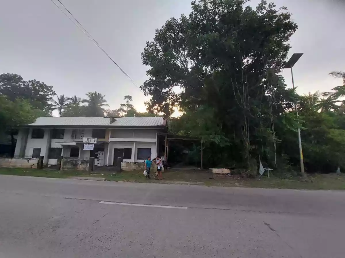 FOR SALE Lot in Catarman, Dauis, Bohol along the National Road — Commercial Lot in Dauis, Bohol, 6339 — Photo 4