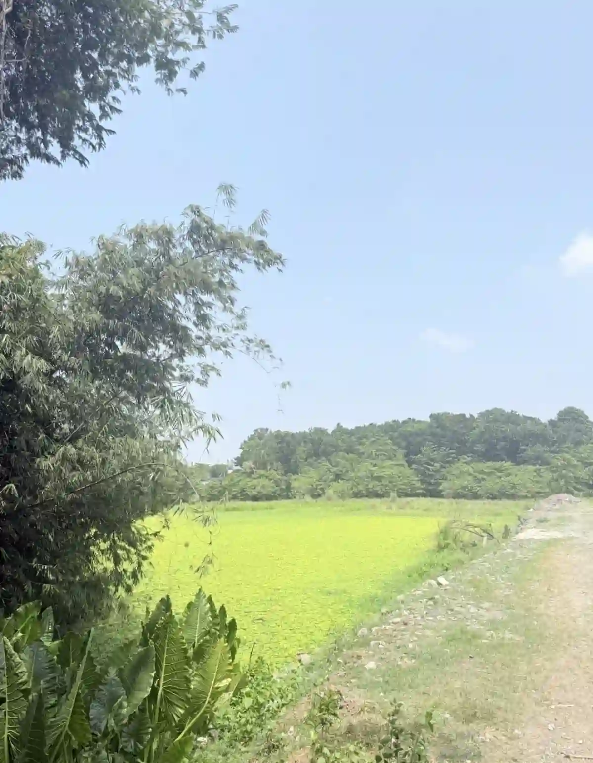 for sale Residential Lot in Buhangin (Pob.), Davao City — 40314 sqm — Residential Lot in Buhangin (Pob.), Davao City, Davao del Sur — Photo 7