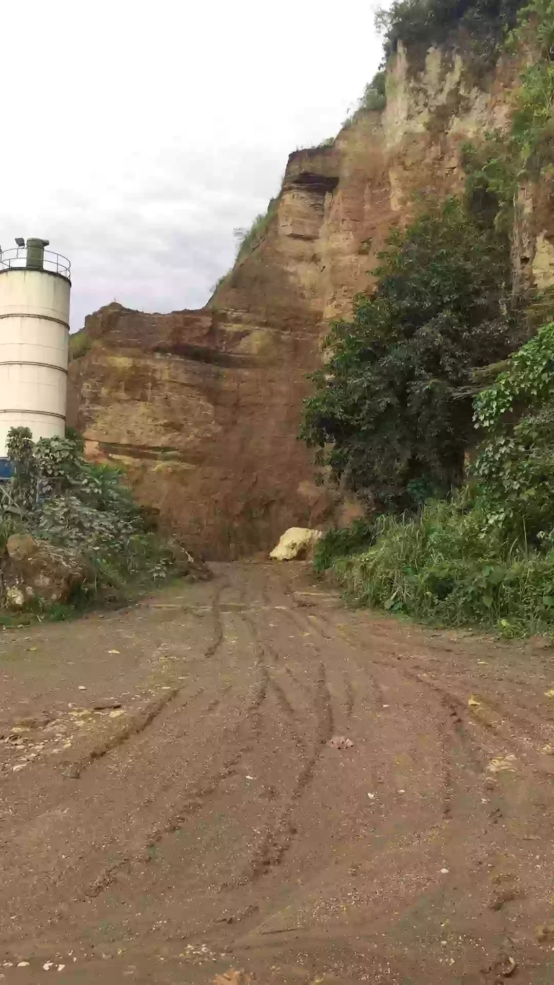 FOR SALE: Commercial Lot in Tigatto, Davao City — 24,772 sqm — Commercial Lot in Davao City, Davao del Sur, 8000 — Photo 4