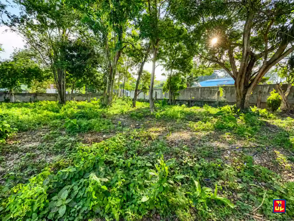 For Sale: Lots Near the Beach in Lipayo, Dauin, Negros Oriental [available]