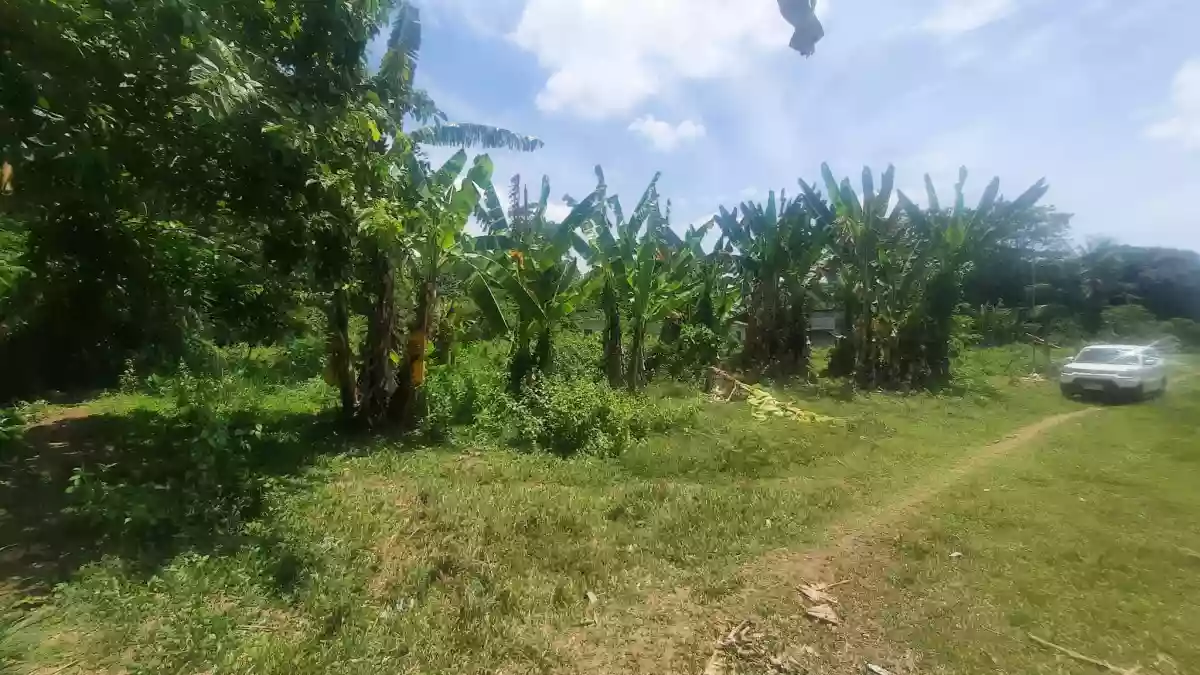 RESIDENTAIL LOT FOR SALE IN DUMAGUETE CITY — Residential Lot in Dumaguete City, Negros Oriental, 6200 — Photo 5