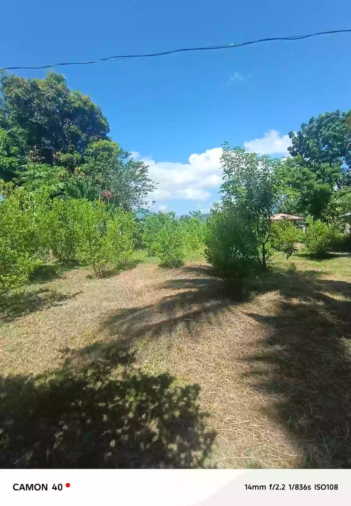 For Sale: Residential Lot in Camanjac, Dumaguete City — 1534 sqm