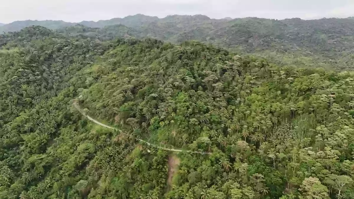 For Sale: Agricultural Lot in Bangayan, Kitcharao — 29997 sqm — Agricultural Lot in Kitcharao, Agusan del Norte, 8609 — Photo 2