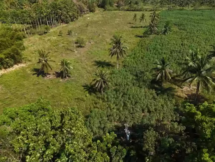 5 HECTARES OF OPPORTUNITY IN MAMBATANGAN — Residential Lot in Manolo Fortich, Bukidnon, 8703 — Photo 4
