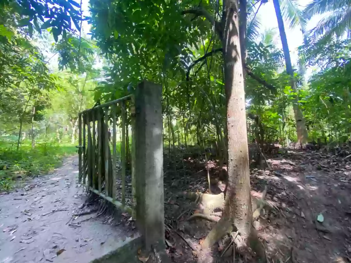 For Sale: Agricultural Lot in Carpenter Hill, Koronadal — 28681 sqm — Agricultural Lot in Koronadal, South Cotabato, 9506 — Photo 3