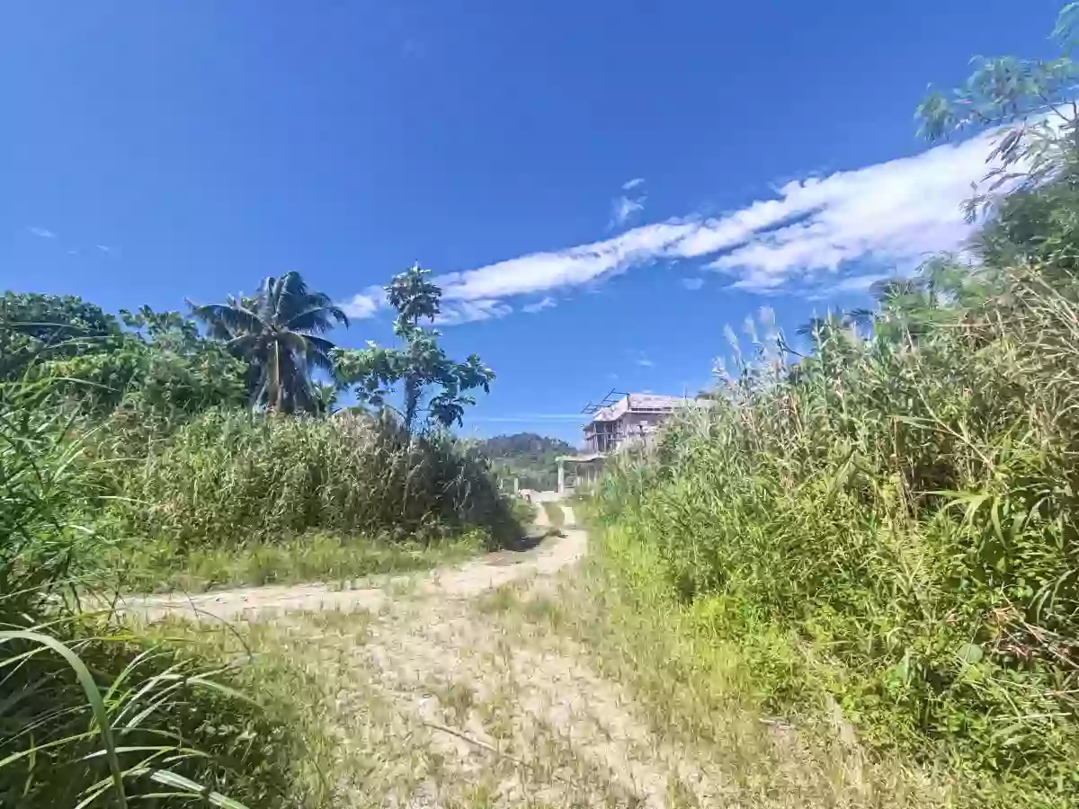 Rush Sale:CLEAN TITLED LOT Surigao City — Residential Lot in Surigao City, Surigao del Norte, 8400 — Photo 3