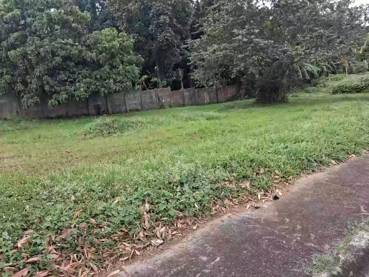 For Sale: Biluso Residential Lot in Silang, Cavite — 120 sqm — Residential Lot in Biluso, Silang, Cavite — Photo 4