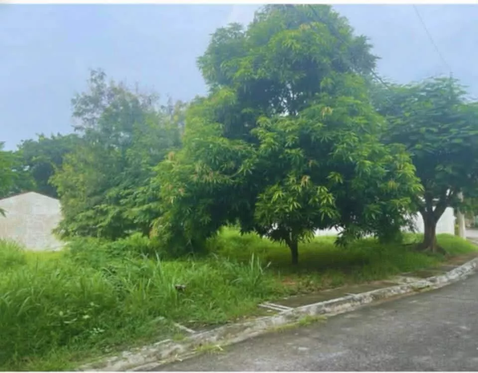 For Sale: Residential Lot in Aniban I, Bacoor — 482 sqm — Residential Lot in Aniban I, Bacoor, Cavite — Photo 4