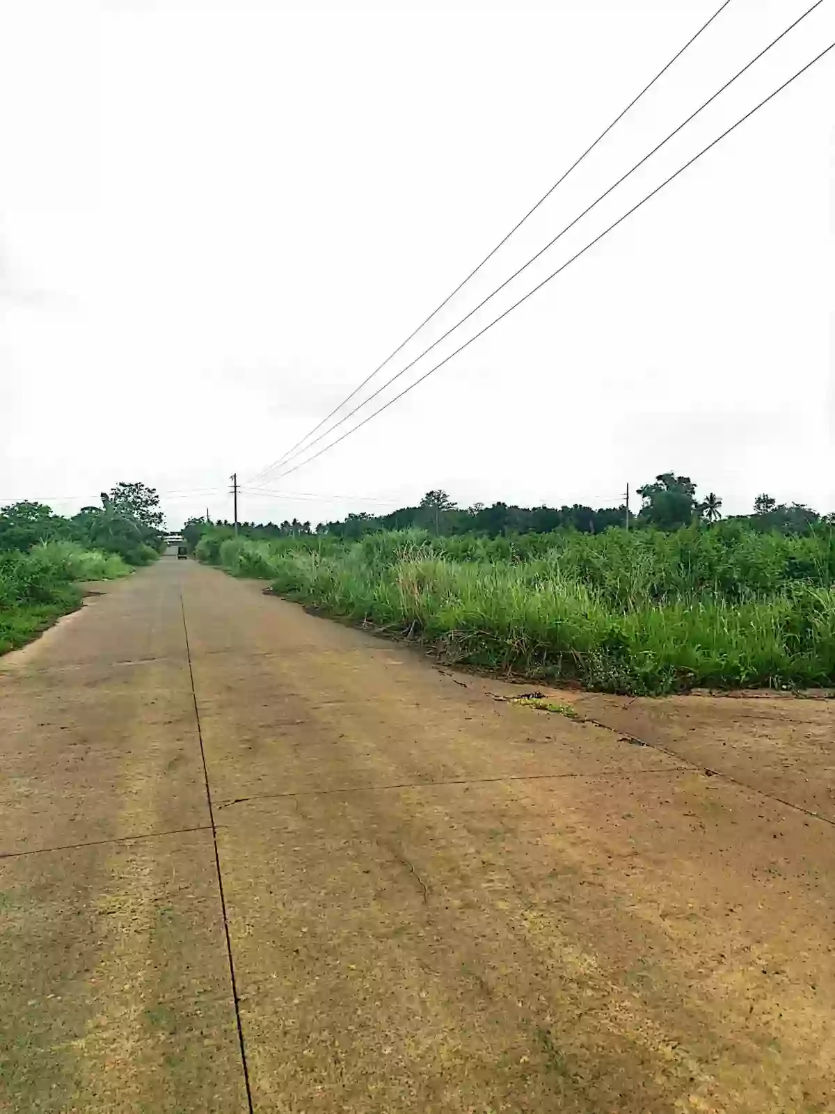 For Sale: Residential Lot in Pacol, Naga City — 103 sqm Corner — Residential Lot in Pacol, Naga City, Camarines Sur — Photo 2
