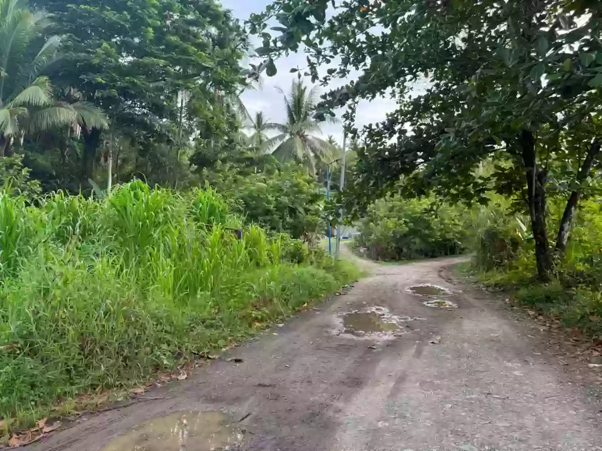 For Sale: Agricultural Lot in Poctoy, Surigao City — 15058 sqm — Agricultural Lot in Surigao City, Surigao del Norte, 8400 — Photo 5