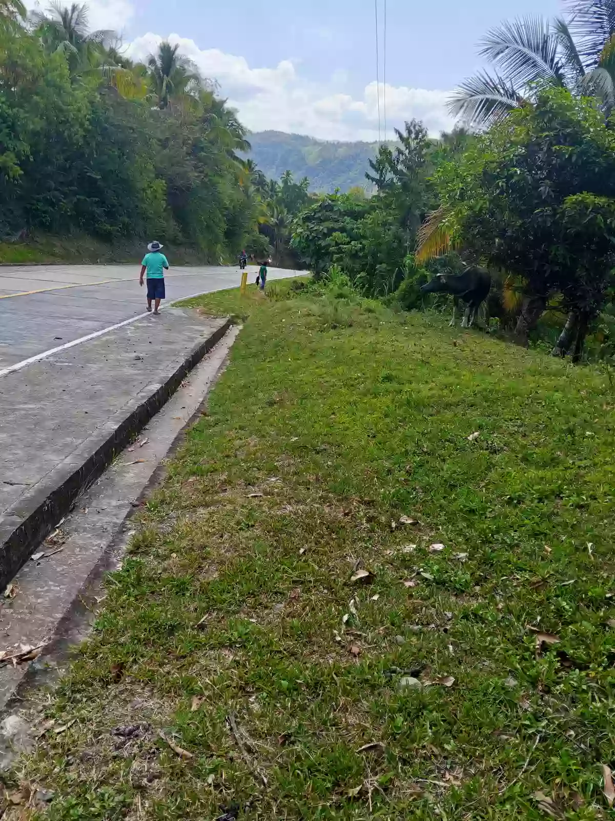 Farm lot for sale — Agricultural Lot in Alabel, Pag-Asa, Alabel — Photo 2