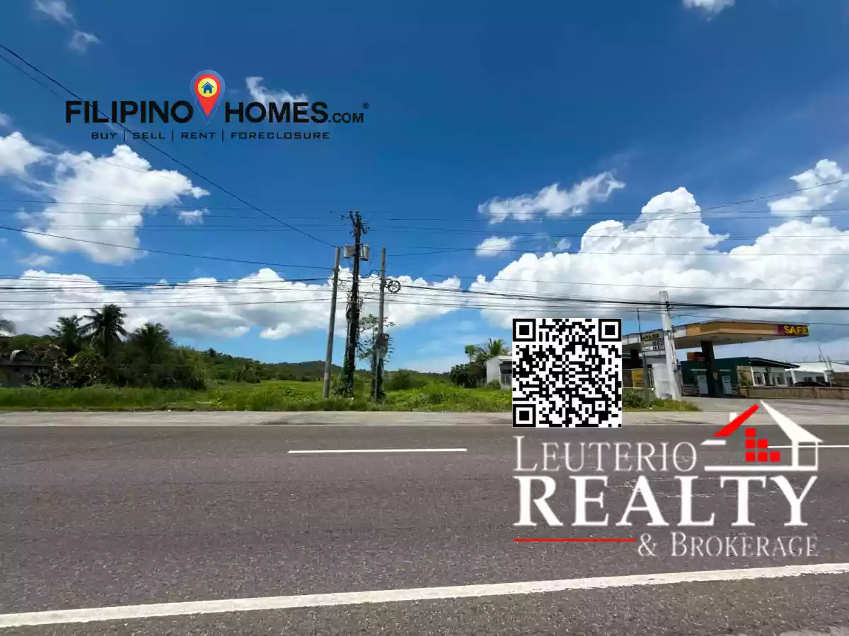 For Sale: Commercial Lot in Poblacion, Pamplona — 90000 sqm — Commercial Lot in Pamplona, Camarines Sur, 4416 — Photo 5