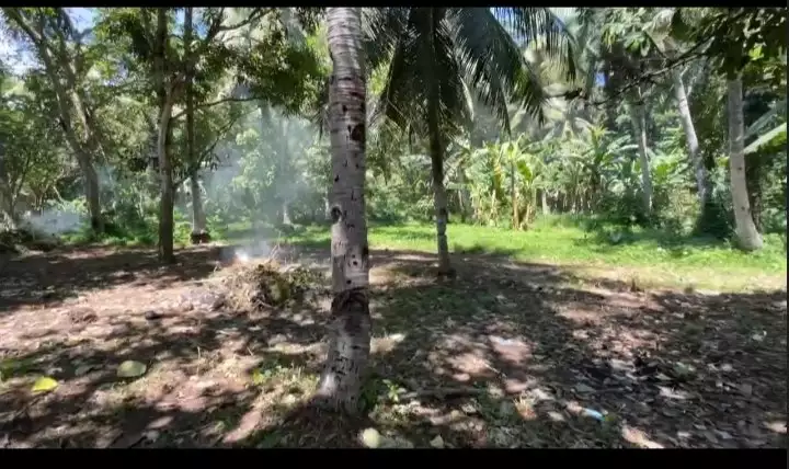 Prime Commercial Lot for Sale — Commercial Lot in Cagayan de Oro City, Misamis Oriental, 9000 — Photo 7