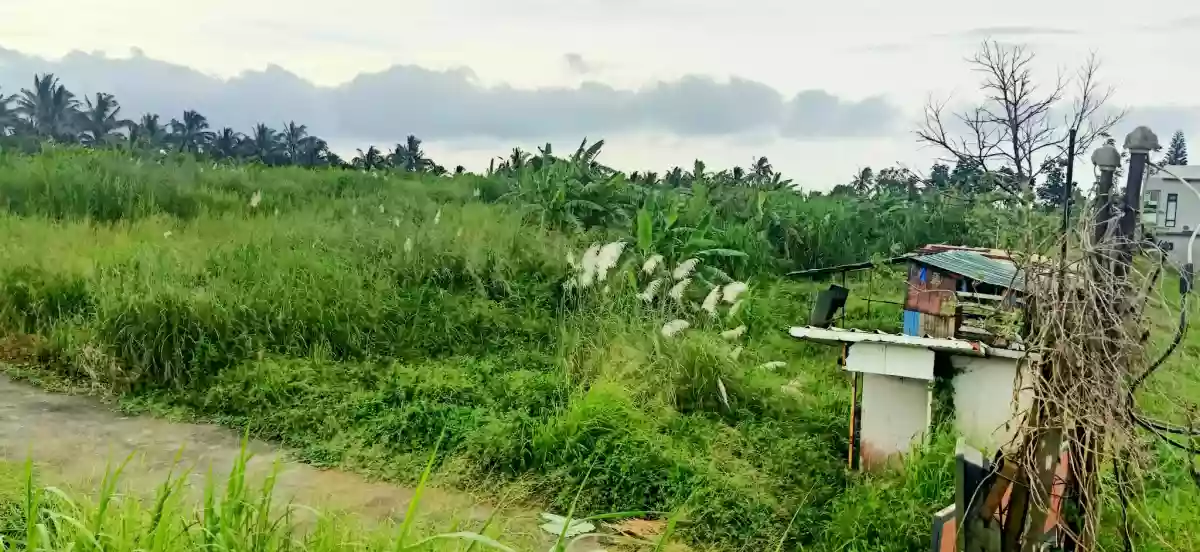 For Sale: Residential Lot Near Country Homes 3, Tagaytay City — 20,000,000 sqm — Residential Lot in San Jose Silang Junction South, Tagaytay City, Cavite — Photo 5