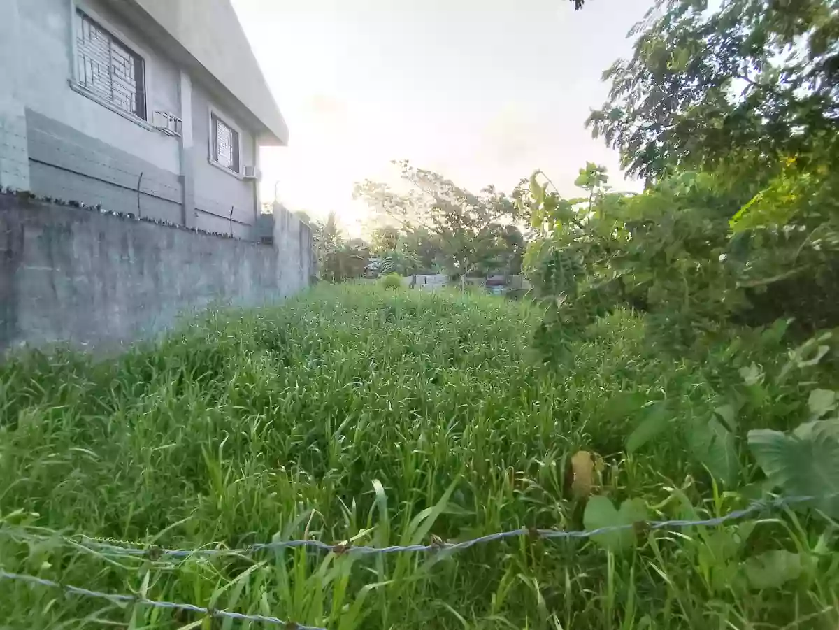 Rush Sale: RESIDENTIAL LOT IN PILI, CAMARINES SUR! 🏡 — Residential Lot in San Jose, Pili, Camarines Sur — Photo 3