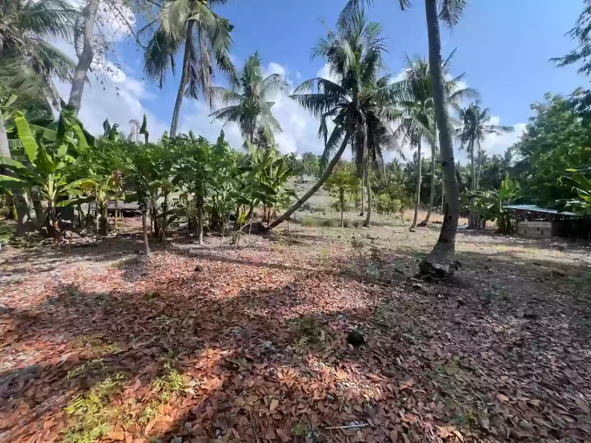 Lot in Poblacion Oslob — Agricultural Lot in Oslob, Cebu, 6025 — Photo 2