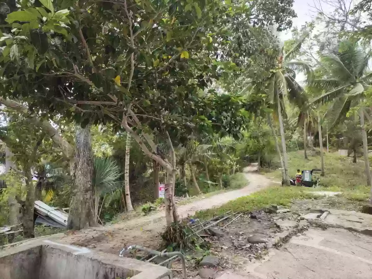 FOR SALE: Agricultural Lot Near Boljoon Heritage Park, Boljoon — 13,638 sqm — Agricultural Lot in Boljoon, Cebu, 6024 — Photo 4