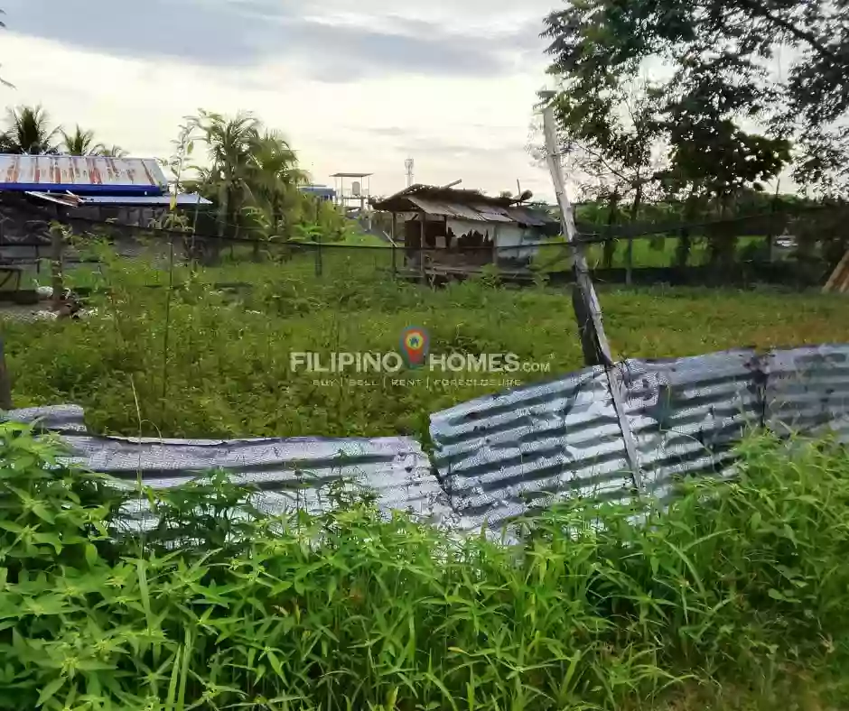 For Sale: Residential Lot in Poblacion 8, Midsayap — 334 sqm — Residential Lot in Midsayap, Cotabato, 9410 — Photo 4
