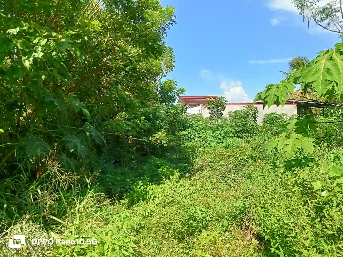 Residential lot forsale