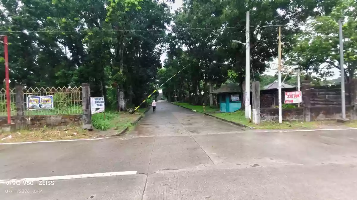 For Sale: Commercial Lot in Panaogao, Silay City — 940 sqm — Commercial Lot in Barangay IV (Pob.), Silay City, Negros Occidental — Photo 5