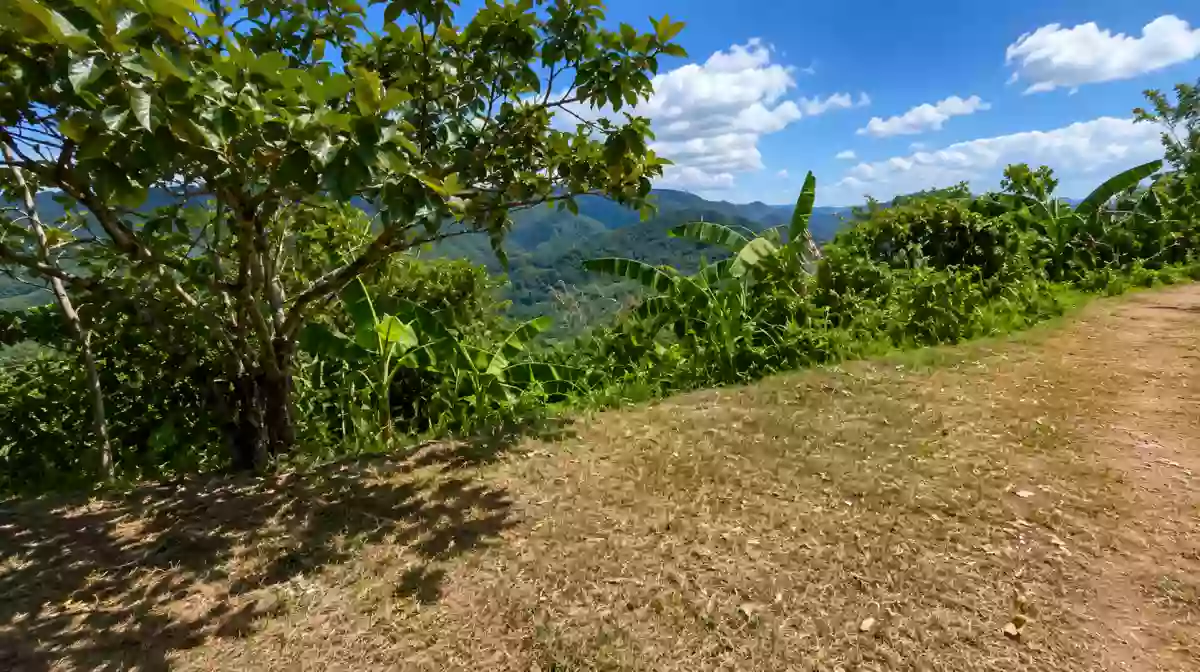 For Sale: Residential Lot in Guadalupe, Cebu City — 557 sqm — Residential Lot in Guadalupe, Cebu City, Cebu — Photo 2