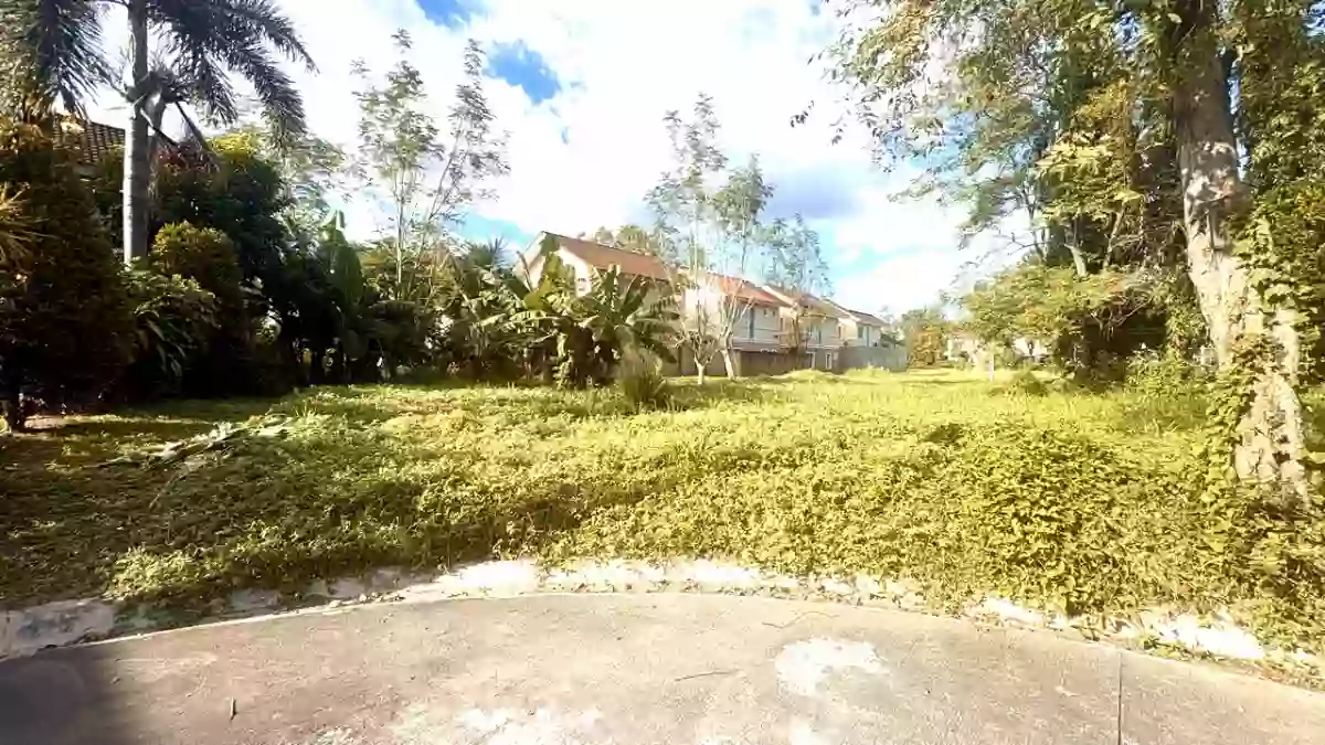 336 sqm Residential Lot For Sale in Panipuan, Mexico, Pampanga
