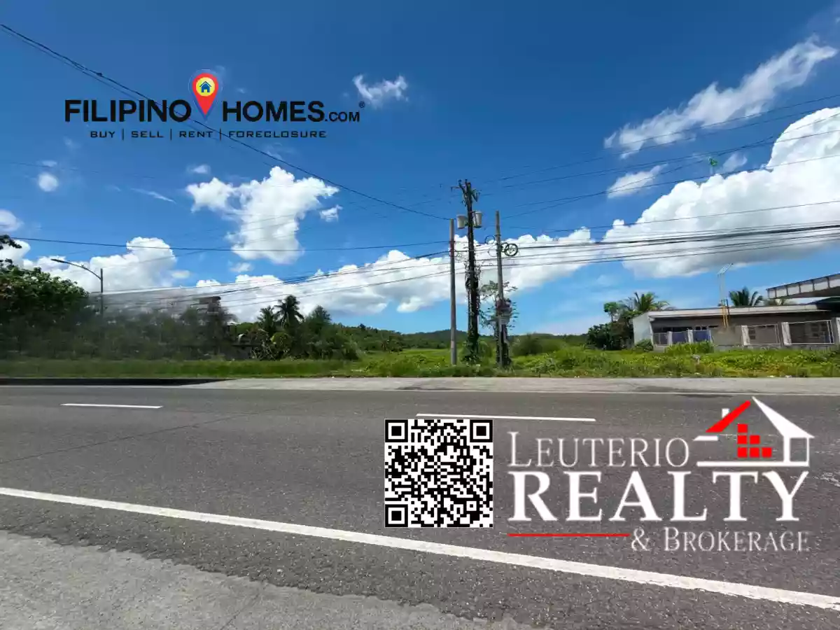 For Sale: Commercial Lot in Poblacion, Pamplona — 90000 sqm — Commercial Lot in Pamplona, Camarines Sur, 4416 — Photo 4