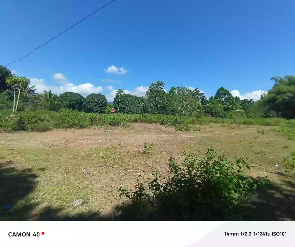 For Sale: Magatas Residential Lot in Sibulan, Negros Oriental — 3058 sqm