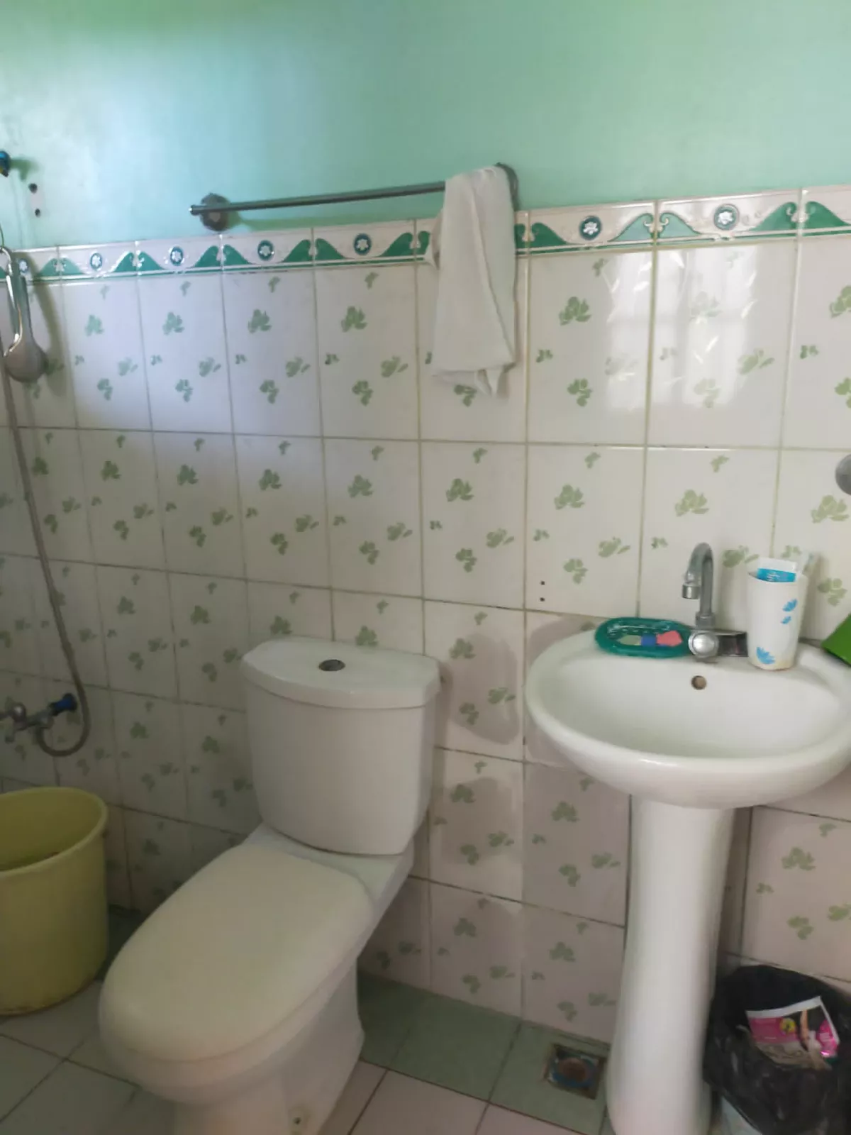 Open photo 17 of 18 — For Sale: 5BR House and Lot in San Pedro, Puerto Princesa City — 230 sqm