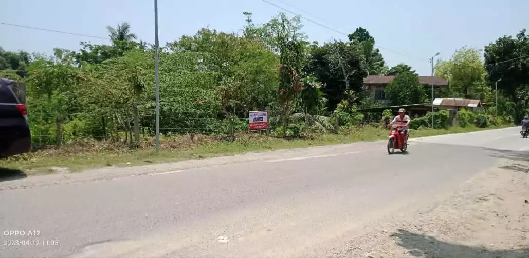 For Sale: Commercial Lot in Valladolid, Carcar — 6000 sqm — Commercial Lot in Carcar, Cebu, 6019 — Photo 5