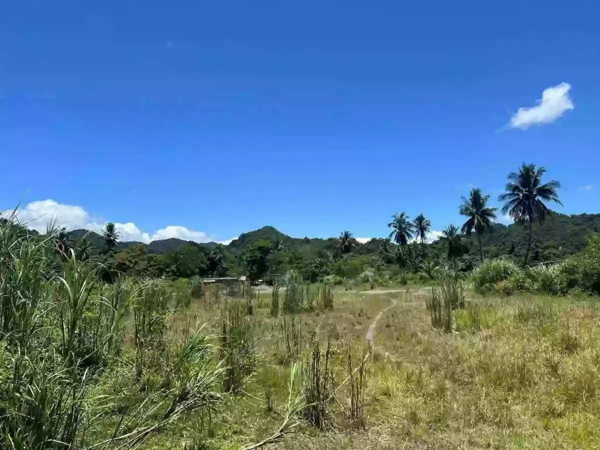 For Sale: Residential Lot in Tayaga, Claver — 2165 sqm — Residential Lot in Claver, Surigao del Norte, 8410 — Photo 4
