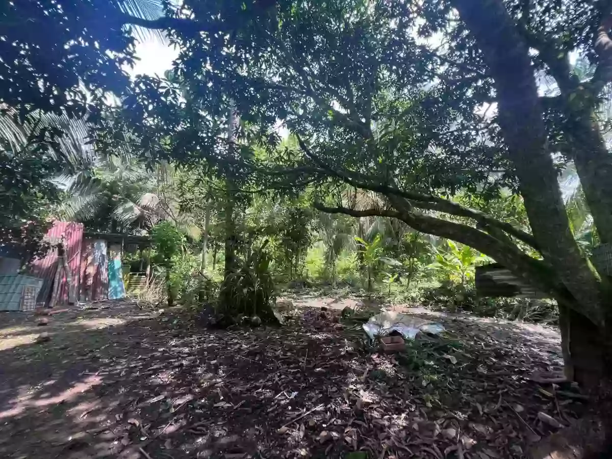 For Sale: Residential Lot in Lucsuhin, Silang, Cavite — 30,500 sqm — Residential Lot in Silang, Cavite, 4118 — Photo 4
