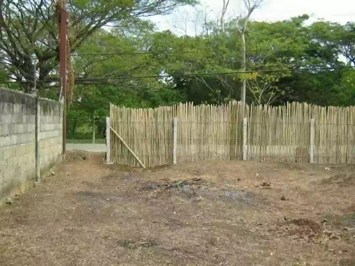 For Sale: Residential Lot in Bancao-Bancao, Puerto Princesa City — Residential Lot in Bancao-bancao, Puerto Princesa City, Palawan — Photo 5