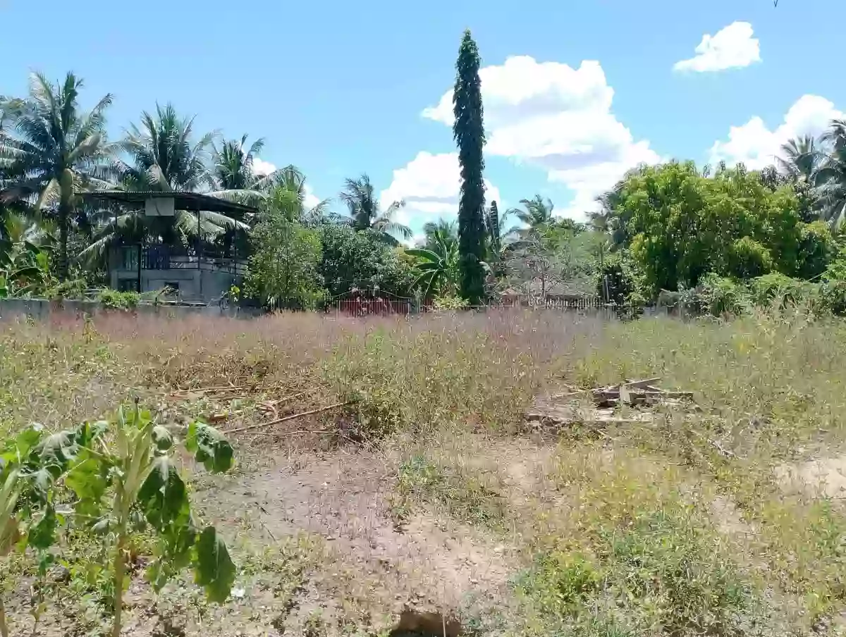 Vacant lot for sale — Residential Lot in Katangawan, Gen. Santos City, South Cotabato — Photo 2