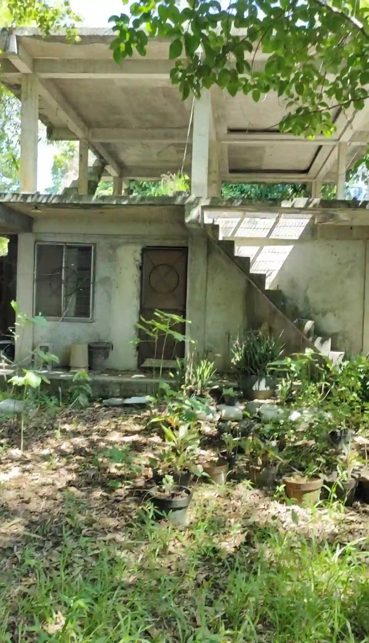 For Sale: Agricultural Lot in Eustaquio Lopez, Silay City — 34240 sqm — Agricultural Lot in Eustaquio Lopez, Silay City, Negros Occidental — Photo 3