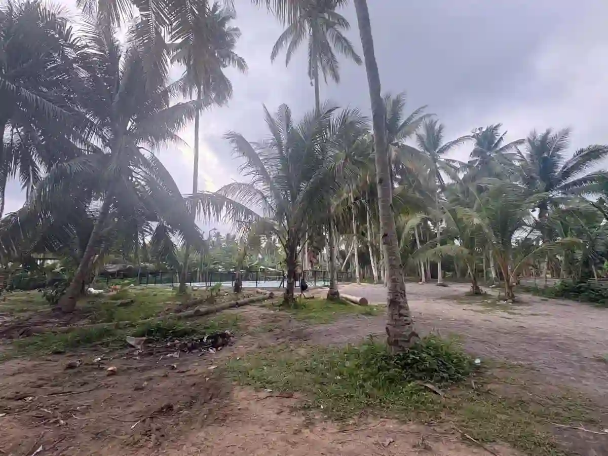 For Sale: Commercial Lot in Katangawan, General Santos City — 5,000 sqm — Commercial Lot in Katangawan, General Santos City, South Cotabato — Photo 4