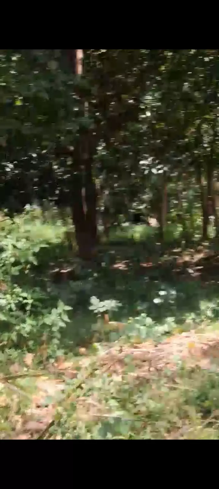 For Sale: Residential Lot in Poblacion II, Dauin, Negros Oriental — 4000 sqm — Residential Lot in Poblacion II, Dauin, Negros Oriental — Photo 3