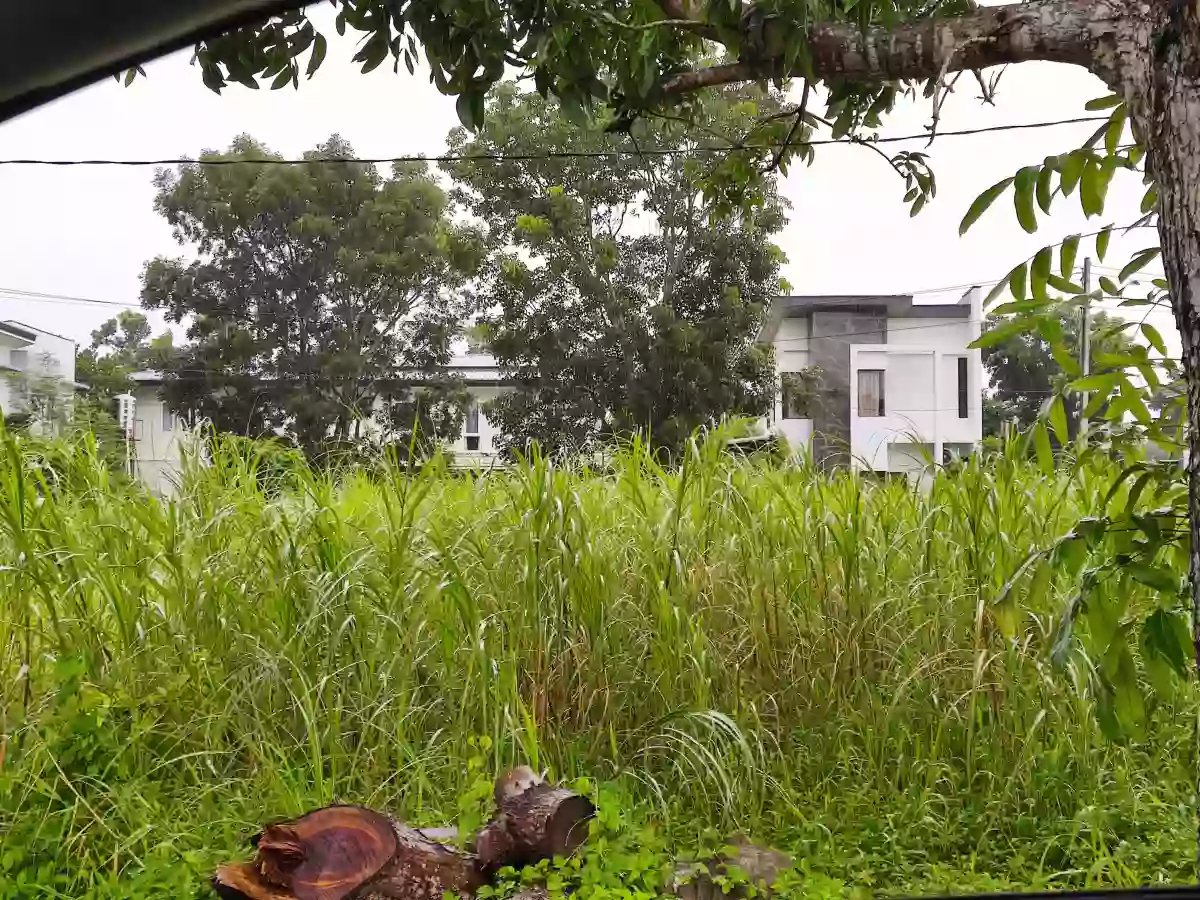 FOR SALE: Residential Lot in Tacas, Iloilo City — 150 sqm — Residential Lot in Iloilo City, Iloilo, 5000 — Photo 4