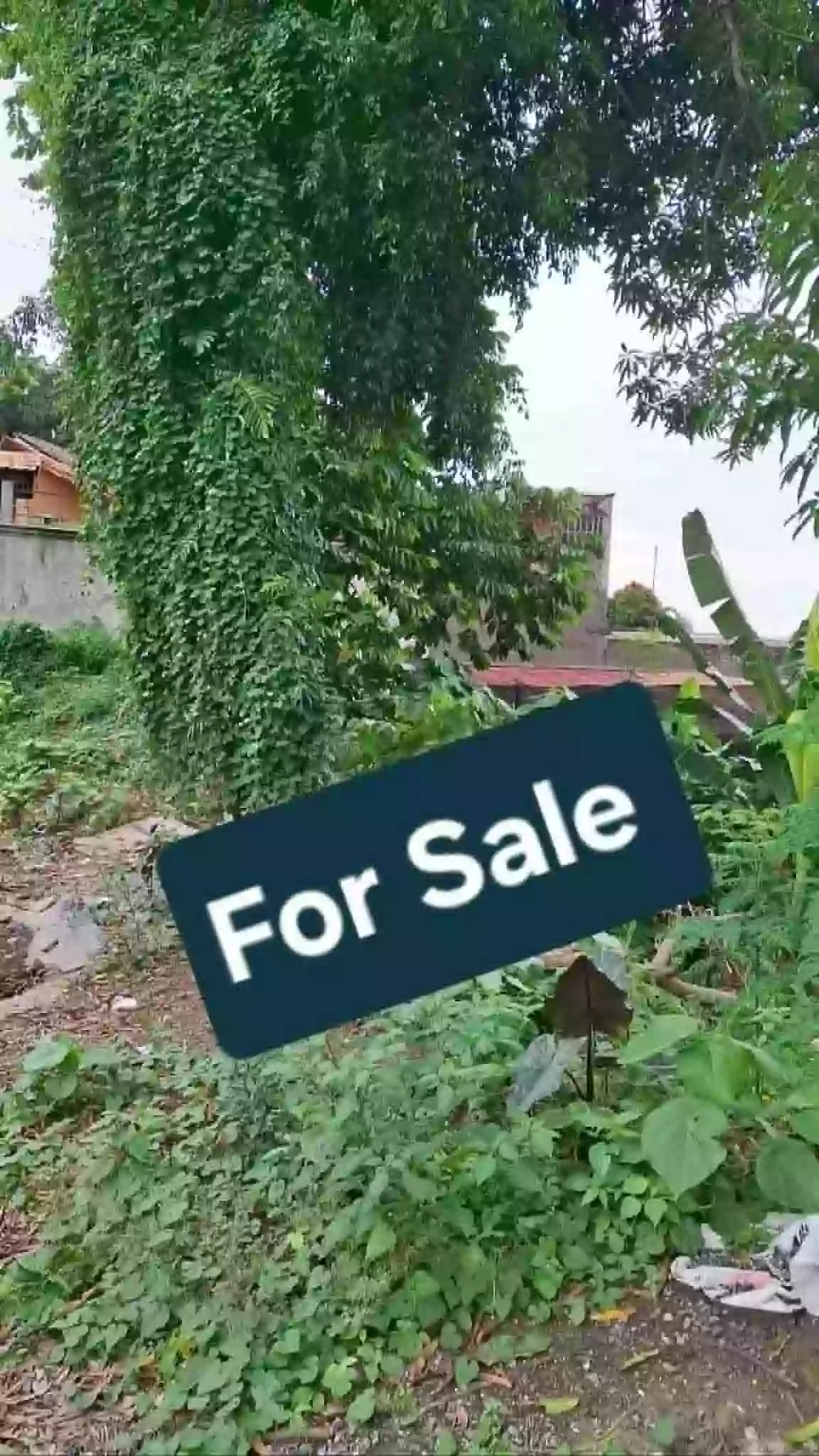 Rush Sale: LOT 400sqm Residential Lot in the heart of Buhangin’s. — Residential Lot in Davao City, Davao del Sur, 8000 — Photo 4
