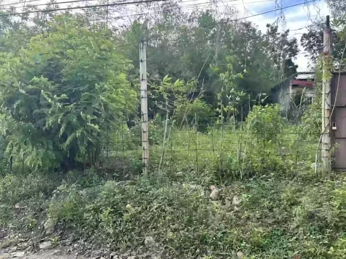 Lot For Sale here in Palestina Pili — Residential Lot in Palestina, Pili, Camarines Sur — Photo 2