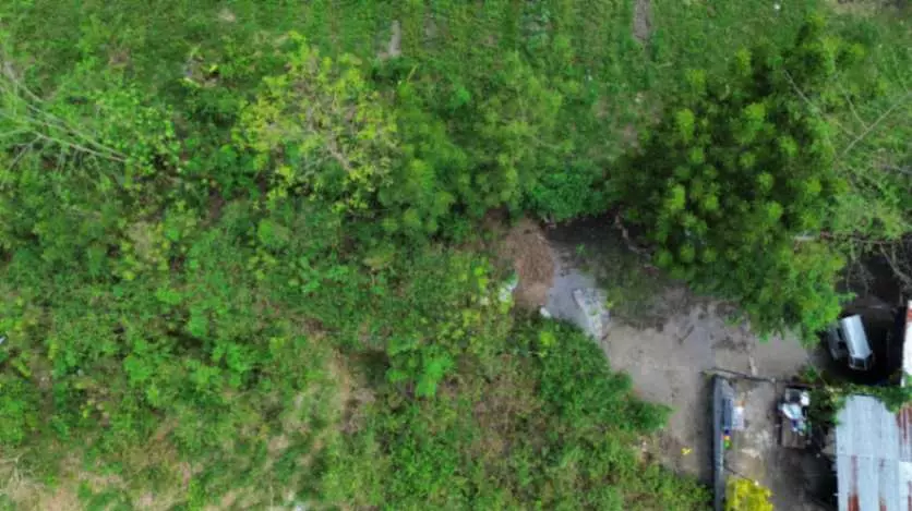 For Sale: Residential Lot in Barangay Mabuhay, General Santos City – Near Windsor Subdivision - photo 5