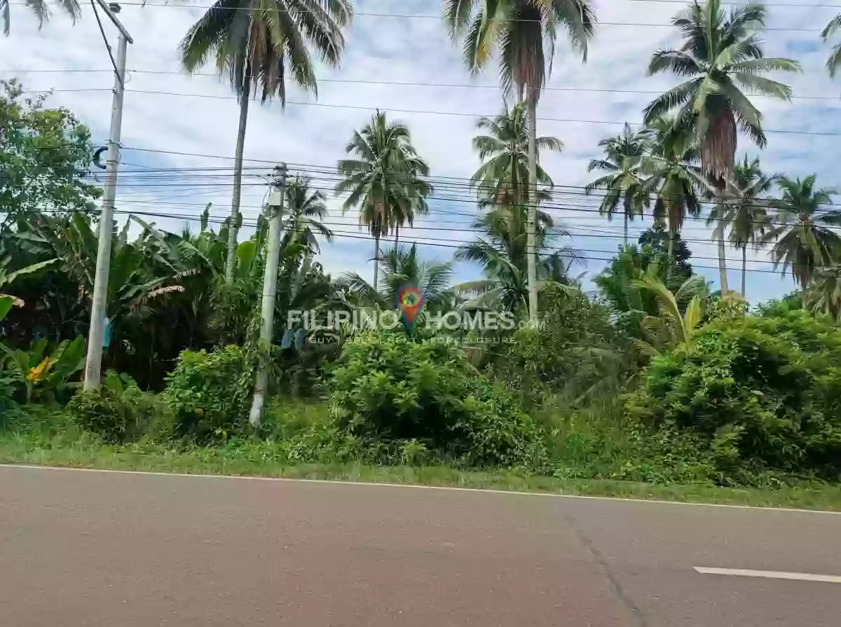 For Sale: Agricultural Lot in Poblacion, Magpet — 1031 sqm — Agricultural Lot in Magpet, Cotabato, 9404 — Photo 2