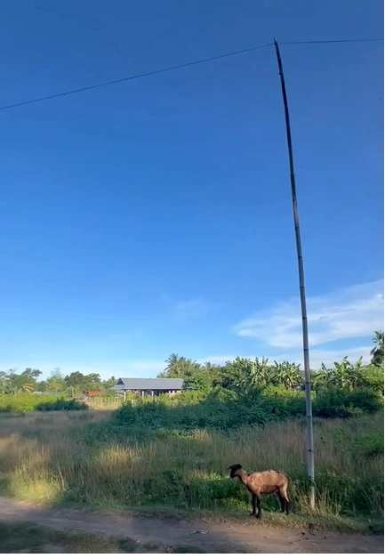 Lot for sale - 3000 sqm