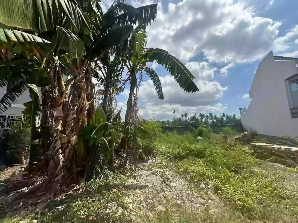 For Sale Residential Lot in Pooc, Talisay City — 328 sqm — Residential Lot in Cebu, 6045, Philippines — Photo 3