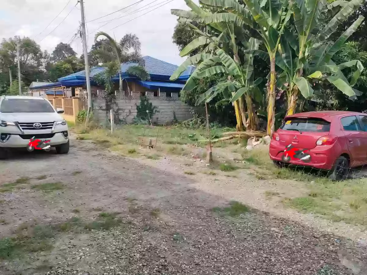 For Sale: Residential Lot in Camanjac, Dumaguete City — 300 sqm — Residential Lot in Dumaguete City, Negros Oriental, 6200 — Photo 6